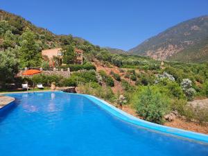 奥伊俄贞非洲古堡酒店的一个大蓝色游泳池,背景是一座山