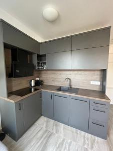 凯斯特海伊Hello 3B Apartman的厨房配有灰色橱柜和水槽