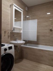 科希策Kosice-centrum apartment的一间带水槽、浴缸和洗衣机的浴室