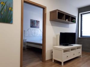 科希策Kosice-centrum apartment的一间带镜子的卧室和一个带梳妆台的电视