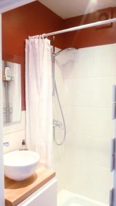 布洛涅-比扬古Anna's Home Sweet Home的一间带水槽和淋浴的浴室