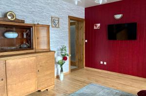 AnnahütteHaus Steffine的一间带电视和红色墙壁的客厅