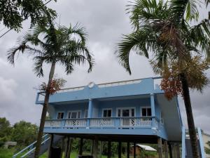 ChoiseulTranquility Suites- Feels like Home的一座棕榈树的蓝色房子