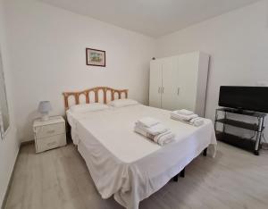 莱切省卡斯特罗Casa vacanze Pesce azzurro的一间卧室配有两张床和一台平面电视