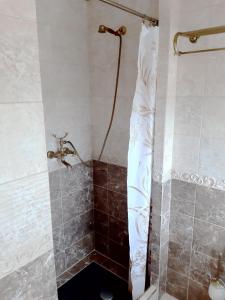 亚希莫夫Penzion a Restaurace Belveder的一间带淋浴的浴室和瓷砖墙