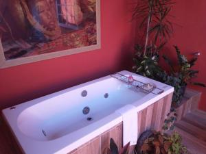 Belo ValePousada Princesa Do Vale的红色的室内设有白色浴缸,种植了植物