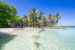 Tintipan IslandSal Si Puedes的一片棕榈树海滩,一片清澈的海水