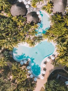 康隆尼角Canonnier Beachcomber Golf Resort & Spa的棕榈树游泳池的空中景致