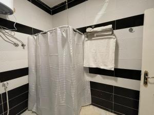 卢克索Kemet Apartment luxor的一间带白色淋浴帘的浴室