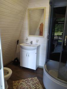 科洛恰瓦Shalet的一间带水槽、卫生间和镜子的浴室