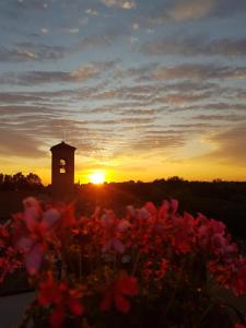 里米尼B&B RoofTop51的钟楼,在花的背景中享有日落