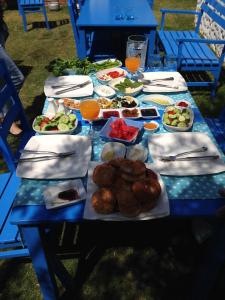 阿拉恰特卡基尔先生住宿加早餐旅馆的一张蓝色桌子,上面放着食物板