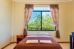 巴克里索莫雷诺港Cucuve Eco Hostal的一间卧室设有一张床和一个大窗户