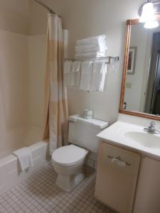 克林顿港克林顿酒店的浴室配有卫生间、盥洗盆和淋浴。