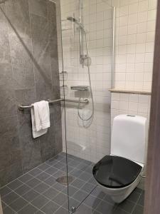 RolfstorpÅkulla Outdoor Resort的一间带卫生间和玻璃淋浴间的浴室