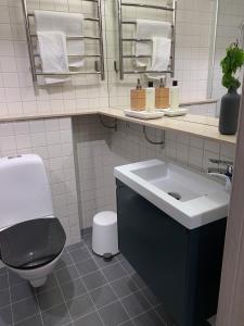 RolfstorpÅkulla Outdoor Resort的一间带水槽、卫生间和镜子的浴室