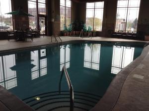 德卢斯运河公园旅馆 的酒店大堂的大型游泳池