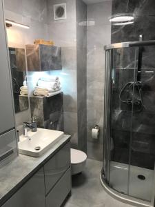 库瑞尼卡慕斯卡APARTAMENT D-7 W OBIEKCIE NAUTIKKA PARK的带淋浴、盥洗盆和卫生间的浴室
