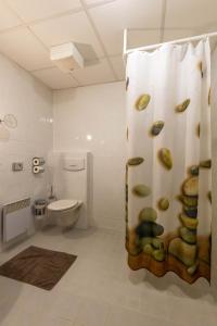 Malenovice拉斯卡布达霍思基酒店的浴室配有带卫生间的淋浴帘