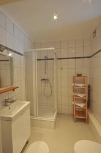 马尔梅迪莱斯公寓酒店阿维马米蒂的带淋浴、卫生间和盥洗盆的浴室