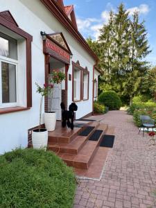 科鲁兹尼亚尼Gościnec pod lipami的一只黑狗站在房子外面