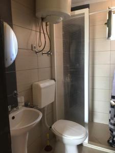 尤塔哈Дом для семейного отдыха в Утехе, Черногория的浴室配有卫生间、盥洗盆和淋浴。