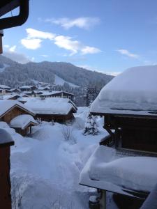 莱热Les Gets apartment的积雪覆盖着房子和山脉的村庄