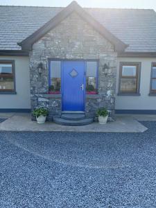 杜林Wild Atlantic Breeze Guesthouse的两棵植物的房子的蓝色前门