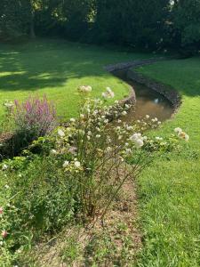 Seine-PortPropriété Les Ruisseaux的草上种着池塘和鲜花的花园