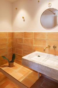 卡达克斯Can Jove Cadaqués的一间带水槽和盆栽植物的浴室