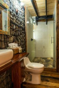 圣罗莎德卡瓦尔Glamping Lagos de Venecia的浴室配有卫生间、盥洗盆和淋浴。