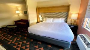 斯帕坦堡Holiday Inn Spartanburg Northwest的酒店客房带一张大床和一把椅子