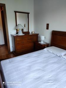 帕多瓦Appartamento Padova zona strategica的一间卧室配有一张床和一个带镜子的梳妆台