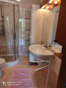 帕多瓦Appartamento Padova zona strategica的一间带水槽、淋浴和卫生间的浴室