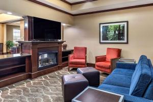 什里夫波特Comfort Suites Shreveport West I-20的客厅配有沙发、椅子和壁炉