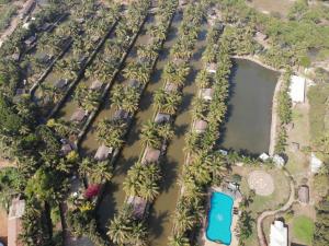 巴加普里莫波特拉维尔德度假酒店的棕榈树和游泳池的空中景观