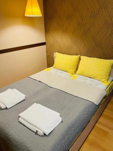 波罗维茨Studio Kris Villa Park的一张带黄色枕头的床和毛巾