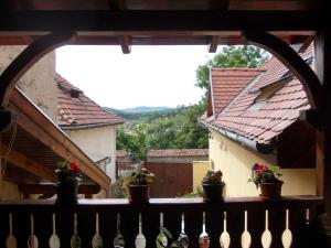 锡吉什瓦拉利亚公寓的从种植盆栽植物的房子的阳台上欣赏风景