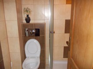 锡吉什瓦拉利亚公寓的一间带卫生间和玻璃门的浴室