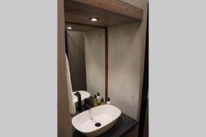 斯普林博克du Repos (Lovely & Relaxing 2-Bedroom Unit with Patio)的浴室设有白色水槽和镜子