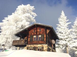 利德阿尔卑斯Chalet Balfrin Alpweg 9 Postfach 2038 Riederalp的雪地小木屋