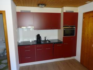 塞德龙尔斯那公寓的一间带红色橱柜和水槽的厨房