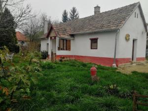 ZalaszentgrótTraditionelles Bauernhaus Flieder的院子里有消防栓的白色和红色房子