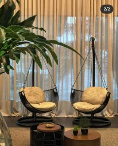 波多韦柳L´acordes Hotel的两个摆椅和一个室内植物