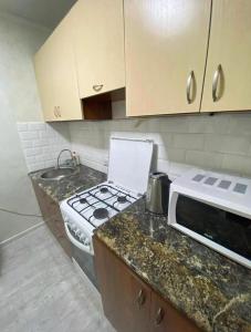 (( Turksib ))Апартаменты на Ахметова 6的厨房配有炉灶和微波炉。