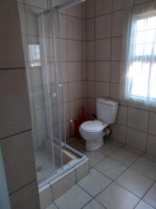 彼得马里茨堡Non Stop Adventures的一间带卫生间和玻璃淋浴间的浴室