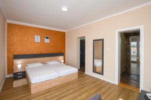 克拉多沃Danubiana Apartments 5的一间卧室配有一张大床和镜子