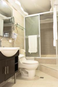 布埃纳文图拉La Casa Blanca Hotel的浴室配有卫生间、盥洗盆和淋浴。