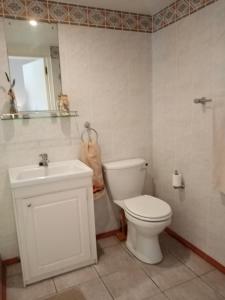 开普敦Sunshine Cottage的浴室配有白色卫生间和盥洗盆。