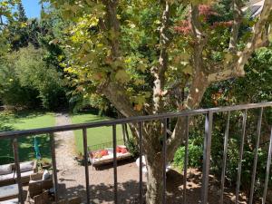 马赛Le Transvaal-Maison d'Hôtes的坐在金属栅栏旁边的一棵树